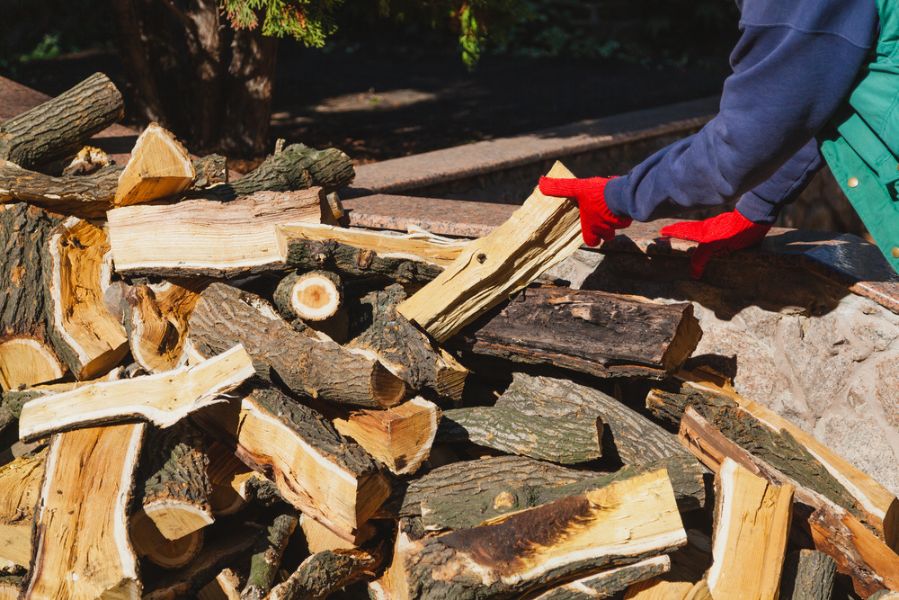 Un professionnel manipulant des bûches de bois vert et de bois sec, illustrant les différences entre les deux types pour un usage en chauffage